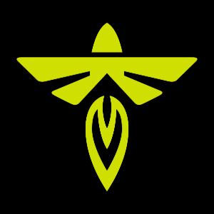 FLY logo